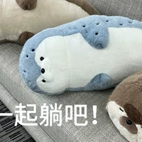 Синяя лежащая осанка [70 см]