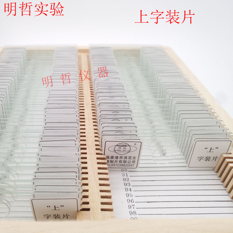 上字装片上字切片教学生物切片显微镜切片玻片教学仪器实验器材