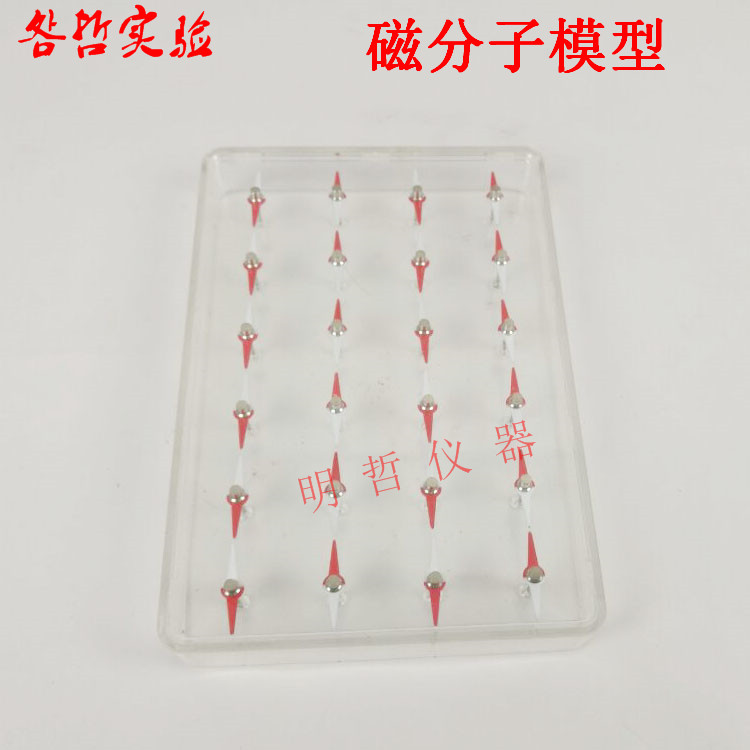 磁分子模型J2407 初中物理菱形小磁针24支磁感线分布模型现象学具
