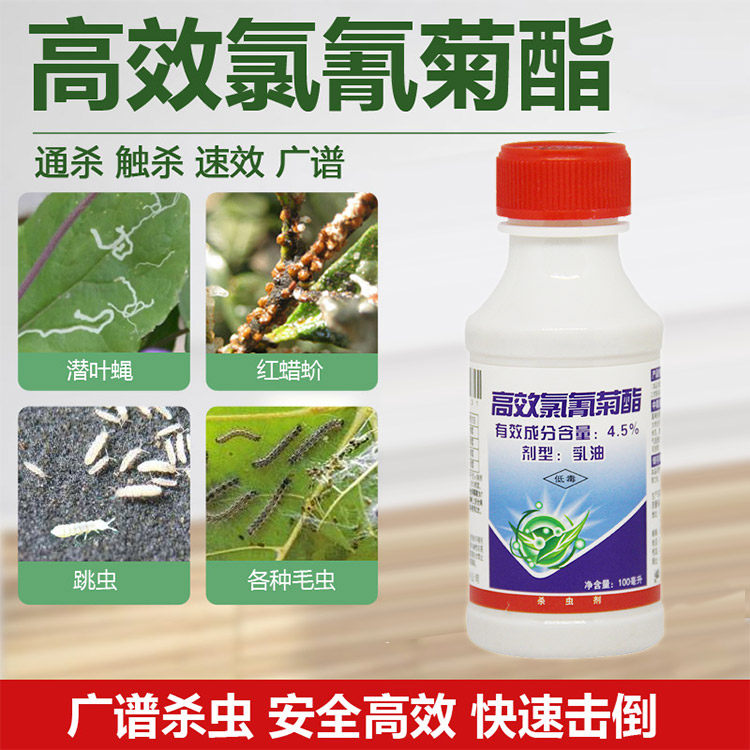 High Efficiency Chlorine Cymethrin Kill Mesocatella Red Wax Mesodromedi Fly Subterrosophila Fly Vegetable Green Bug small vegetable moth drug flower green plant