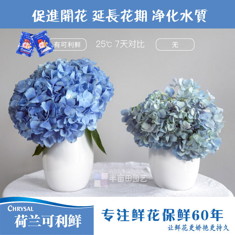 Keli fresh chrysal flower preservative Dutch imported rose lily growth nutrient solution