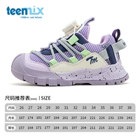 Гибискус фиолетовый [двойная сетка, весенний и осенний стиль]