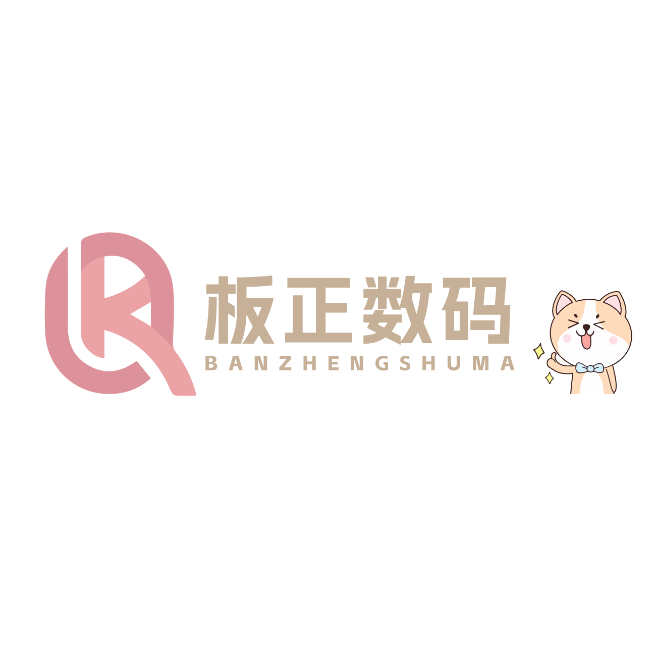 板正数码租赁店