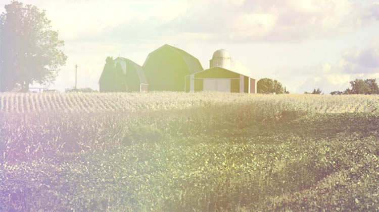 FCPX插件：唯美大气光效光晕调色控制+153个炫光素材 Organic Light Leaks