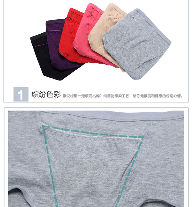 Slip simple en coton - Ref 653958 Image 18