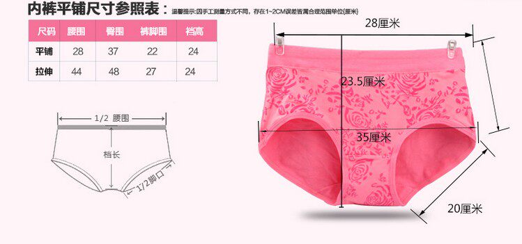 Slip jeunesse simple en coton - Ref 653855 Image 8