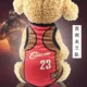 Pet Sweater Dog Quần áo Net mùa xuân đỏ và mùa thu gấu Teddy mỏng Xi Ke Kefa Luật Bomei Cat Puppy Trang phục - Quần áo & phụ kiện thú cưng