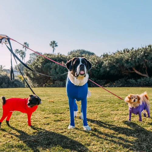 Одежда для собак тонкая золотая шерсть обороня Шиба Ину Лабрадор Корги Средний Большая собака осень и зимняя эластичная четверка