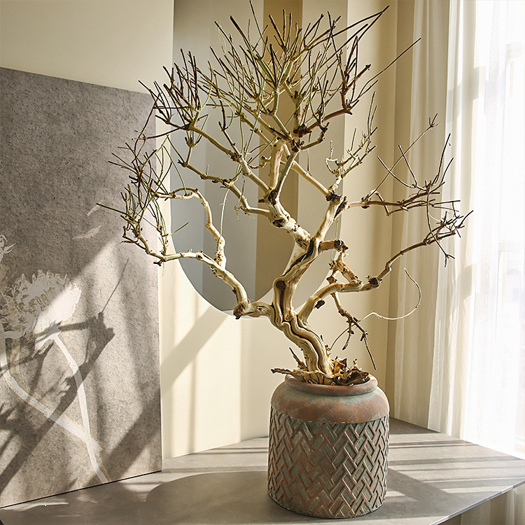 Honeysuckle Tree Peeled Dead Branches for Indoor and Outdoor Landscaping, Dried Honeysuckle Tree Floral Art Landscape Decoration Honeysuckle Tree Peeled Dead Branches for Indoor and Outdoor Landscaping, Dried Honeysuckle Tree Floral Art Landscape Decoration