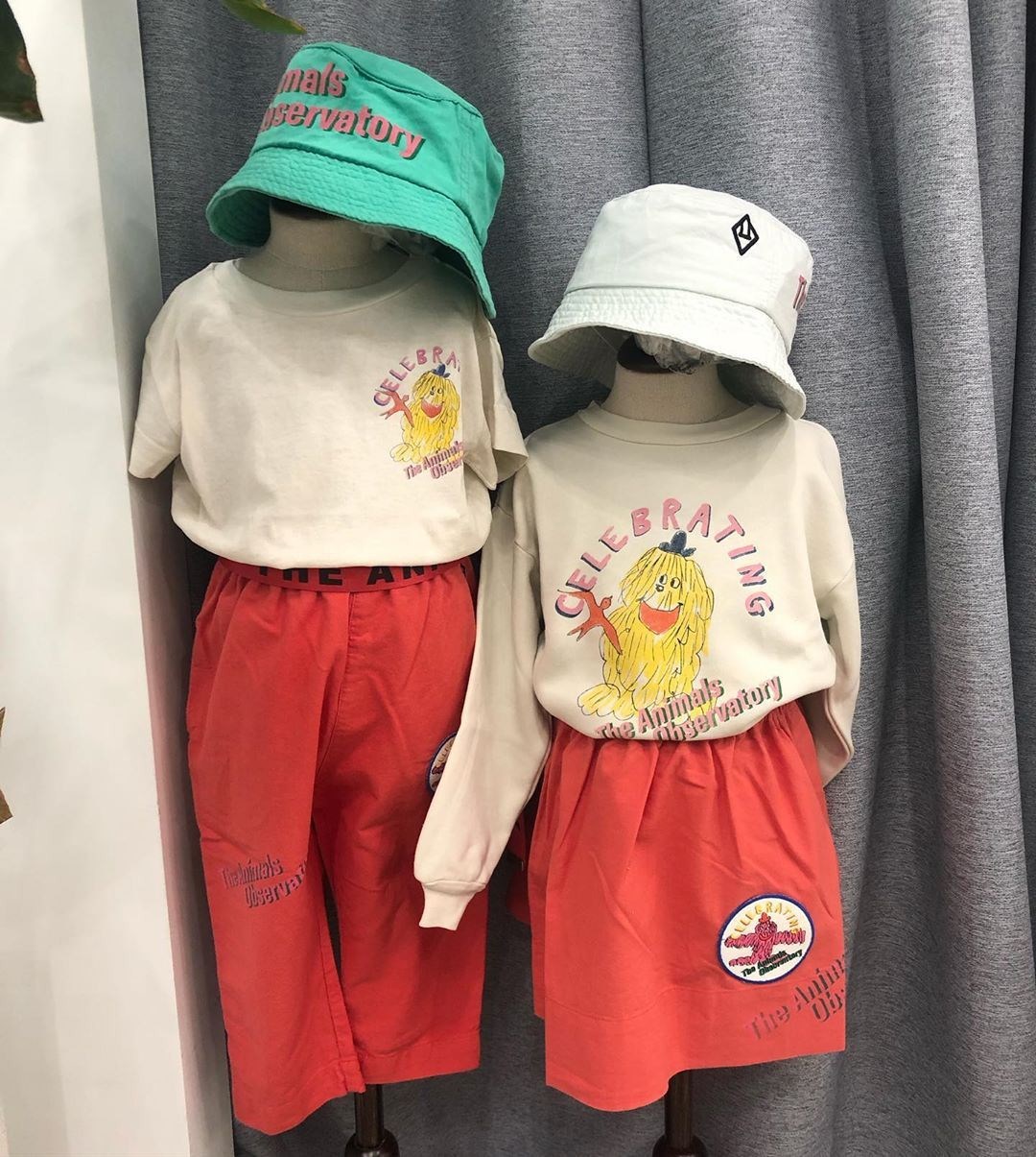 77414336_480329702605585_19276