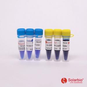 索莱宝6&times;DNA上样缓冲液D1010-1ml