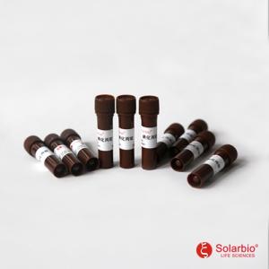 索莱宝碘化丙锭PI溶液C0080-1ml