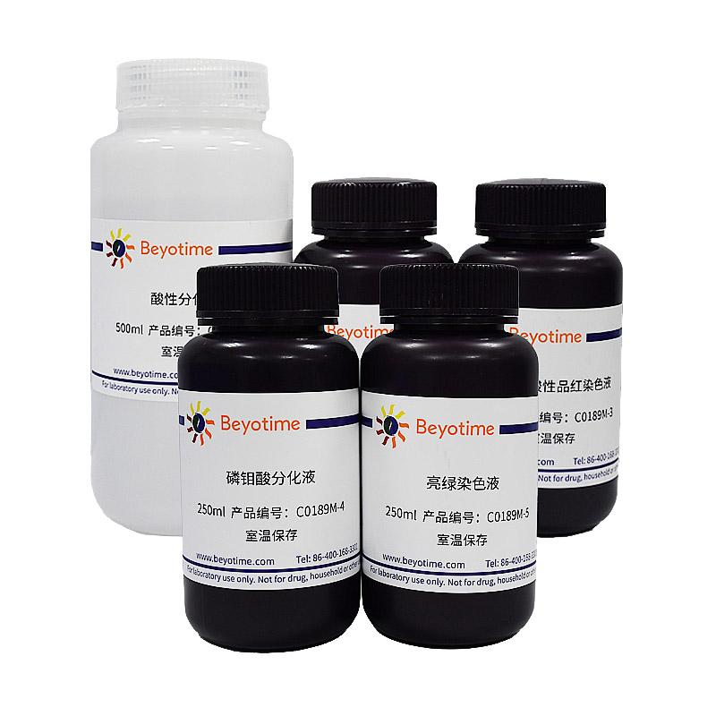 碧云天Masson三色染色试剂盒 C0189S