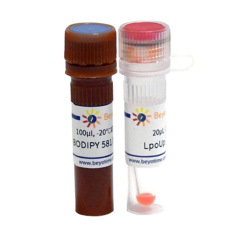 碧云天脂质过氧化检测试剂盒(BODIPY 581/591 C11)S0043