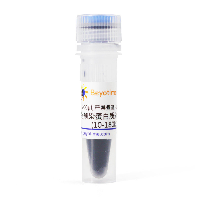 碧云天彩色预染蛋白质分子量标准(10-180kD)P0068