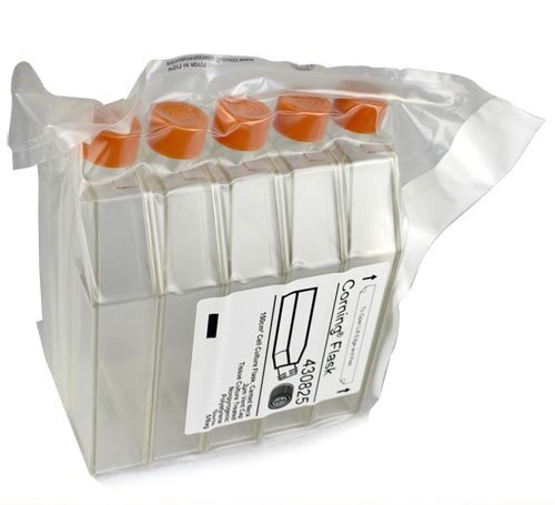 Corning 150cm2细胞培养瓶 透气盖 TC 430825T 国内产