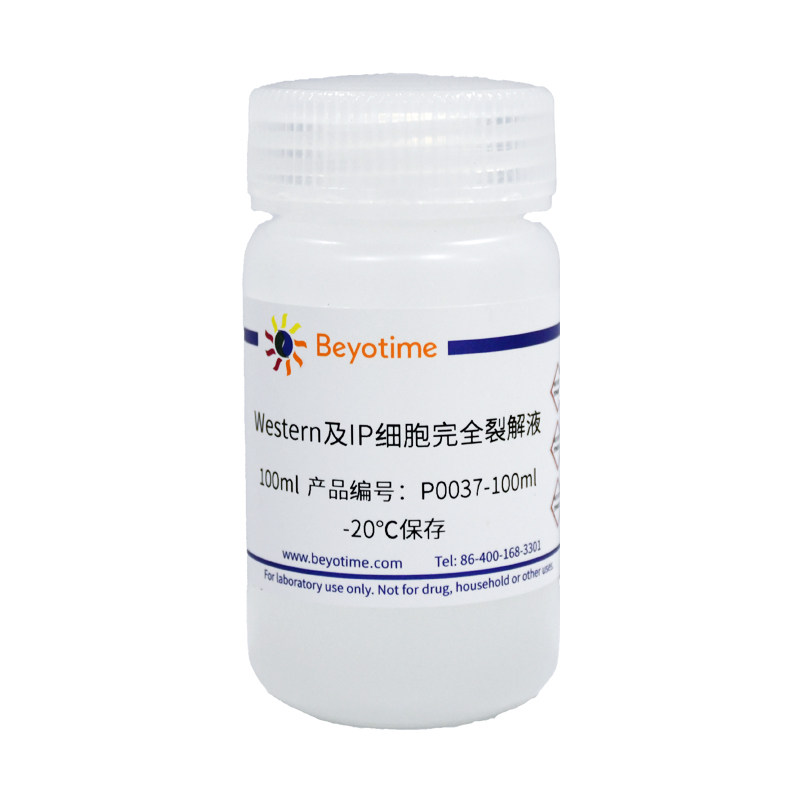 碧云天Western及IP细胞完全裂解液P0037-100ml