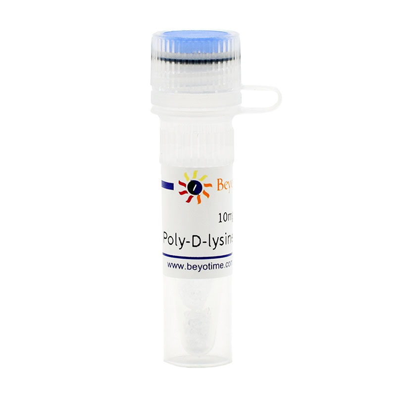 碧云天Poly-D-lysine/多聚赖氨酸ST508