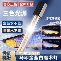 Ma Yin gold blue and white light golden dragon and thunder dragon fish special lamp dual mode switching LED brightening hair color waterproof diving lamp