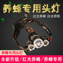 Beekeeping tool special head light night lighting flashlight red white light rechargeable telescopic manual focusing Bee