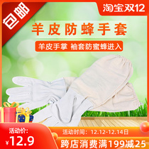 Sheepskin gloves raising bees tools anti-bee gloves bee caps anti-bee clothes bees cleaning work anti-Sting gloves