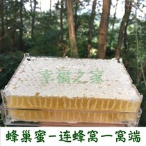 Nest Honey Honey pure natural farmhouse self-produced bee nest honey old hive honeycomb wild soil honey Xinjiang hundred nectar
