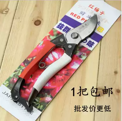 Red plum fruit branch scissors grafting fruit picking scissors garden gardening tools scissors pruning shears