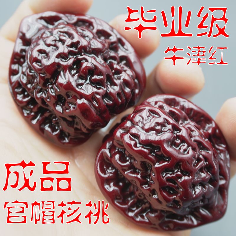 文玩核桃 太行龙纹 文玩核桃盘龙纹狮子头核桃44野生狮子头把玩手把件密纹核桃蟠龙纹