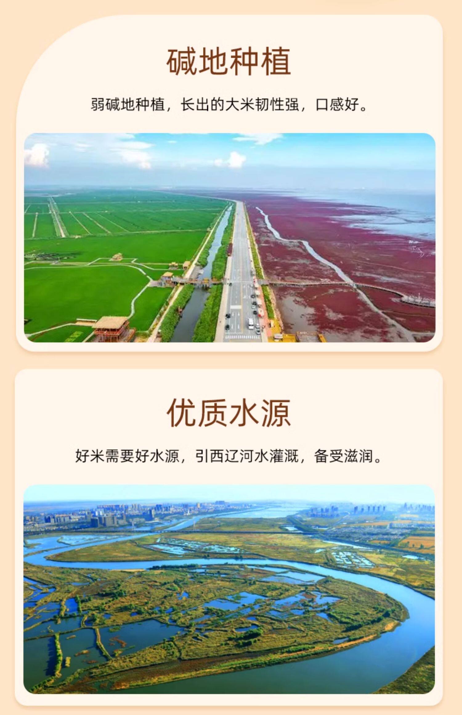 安享好物 安享C级粳米-盘珠蟹田大米 国标 