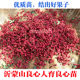 ເບ້ຍ Zanthoxylum bungeanum, ເບ້ຍ Dahongpao Zanthoxylum bungeanum, Sichuan peppercorns ກິນໄດ້, ພືດ potted ໃນພາກໃຕ້ແລະພາກເຫນືອ, ພືດ potted ໃນດິນ, ຜົນໄດ້ຮັບຂອງປີປະຈຸບັນ