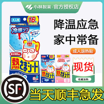 Japan Xiaolin Adult Child Withdrawal Fever and Retreat Fever for Baby Ice Pice Sticker Ice Sticker