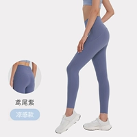 Ирис фиолетовый – стильный стиль