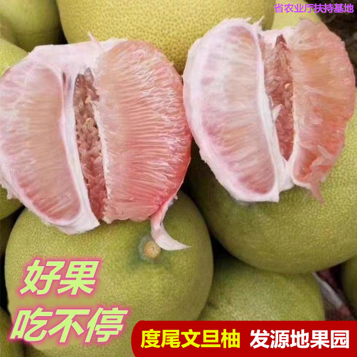 老兵度尾文旦柚的LOGO