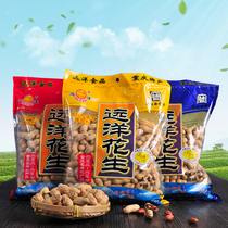 Full 69 yuan Chongqing Jiangjin Ocean Peanuts 500g five-spiced garlic flavor White pecan flavor