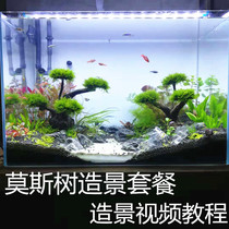 Moss tree landscaping package Champagne wood landscaping Wood sinking wood package Lazy man landscaping Forest landscaping