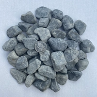 Темно-серый 2-4 см 5 кот