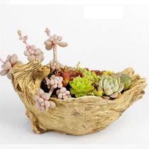 Imitation wood meat plant King-size caliber platter Micro landscape meaty flower pot Non-ceramic wholesale special clearance