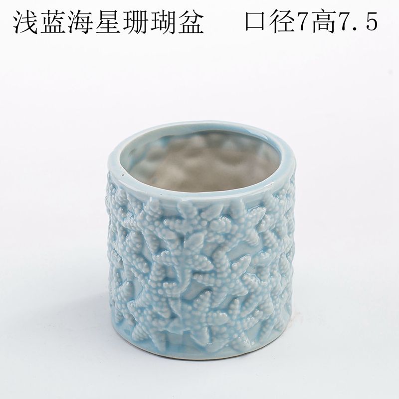 Vỏ ốc xà cừ san hô tự nhiên bể cá cảnh quan trang trí thủ công Địa Trung Hải sáng tạo trôi dạt trang trí chai - Trang trí nội thất phòng khách nhà cấp 4