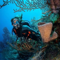 Aqualung ProHD Compact Diving Buoyancy Controller Travel Lightweight Foldable Scuba BCD