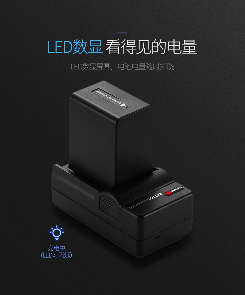 FV100 Single Charge_04.jpg