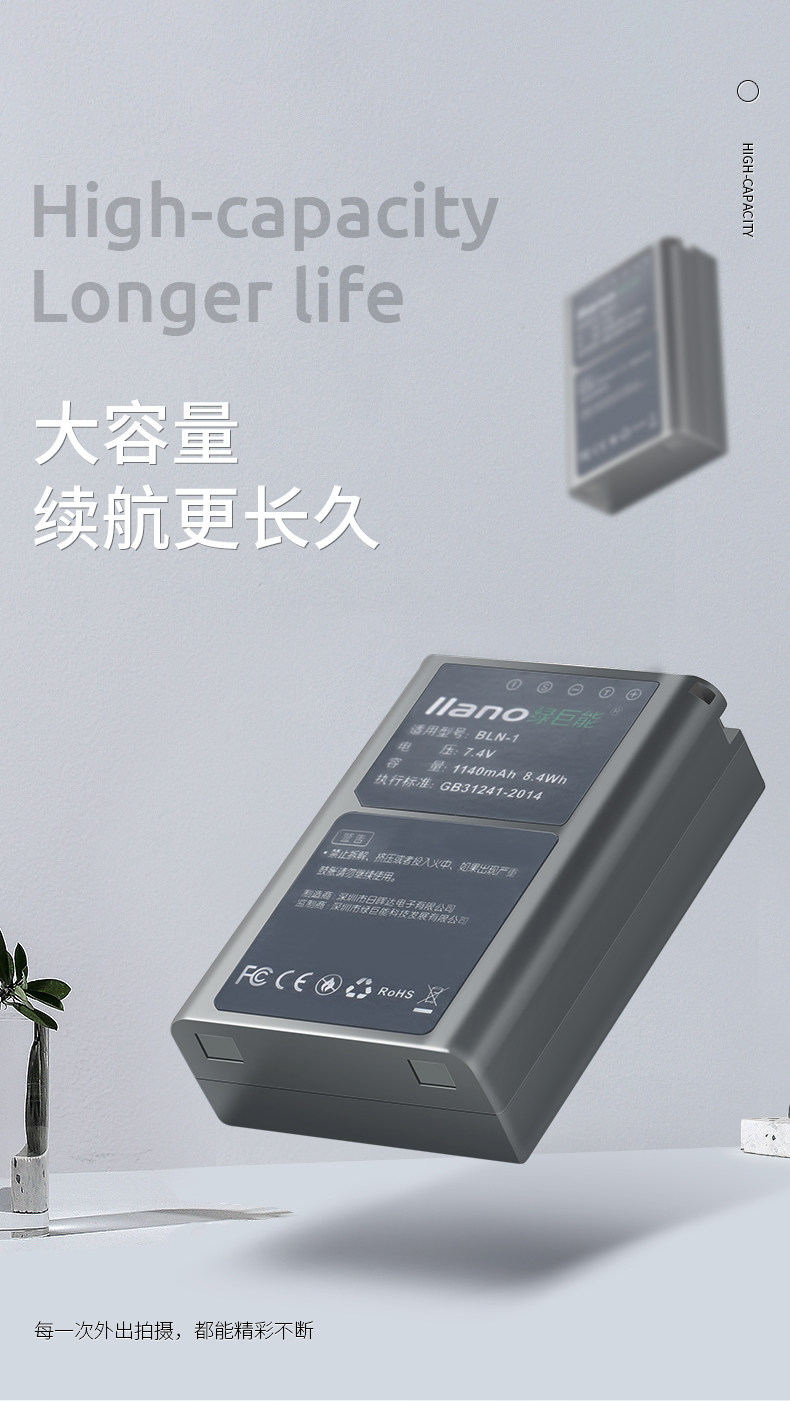 BLN-1 Electric_01.jpg