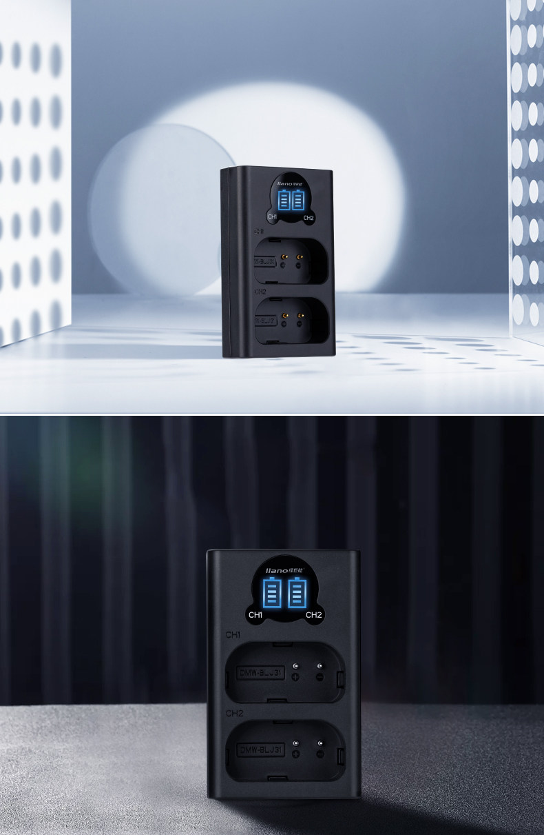 BLJ31 Charger_14.jpg