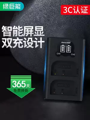 llano Panasonic DMW-BLF19E charger DMC-GH4 GH5 GH5S GH3 G9LGK PDZ-BLF19E usb