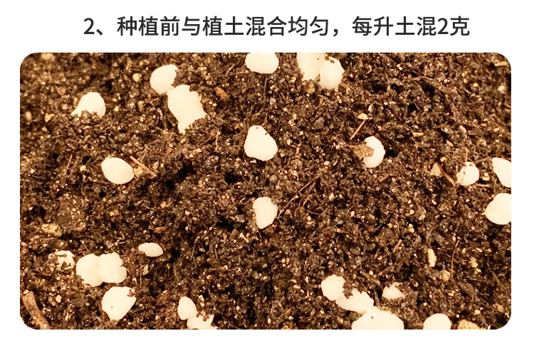 多肉专用不伤花小白药植物杀虫剂 图9