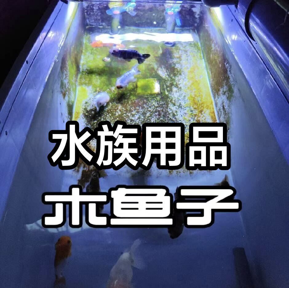 鱼子宠物用品店