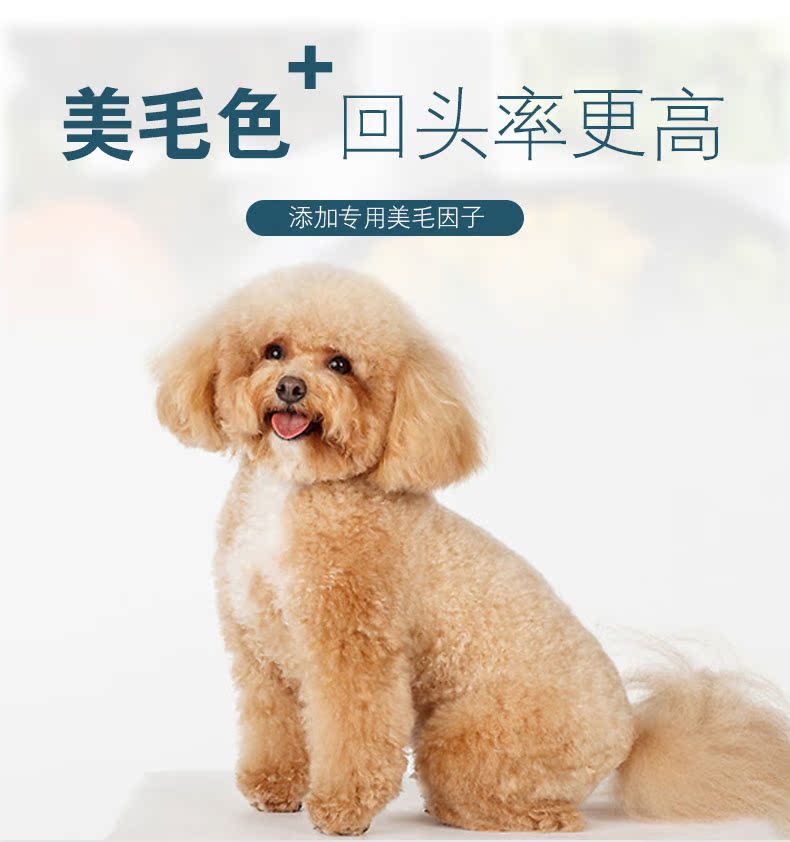 Thức ăn cho chó Teddy chó trưởng thành chó nhỏ lông đẹp làm nước mắt VIP đặc biệt thức ăn cho chó thức ăn đầy đủ dinh dưỡng cố gắng ăn 125g - Gói Singular đồ ăn cho mèo con