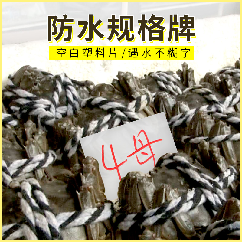 400 Jaggi Crab Spec Tip Waterproof Signage Label Collection Crab Plastic Label Crab with a plastic sheet-Taobao
