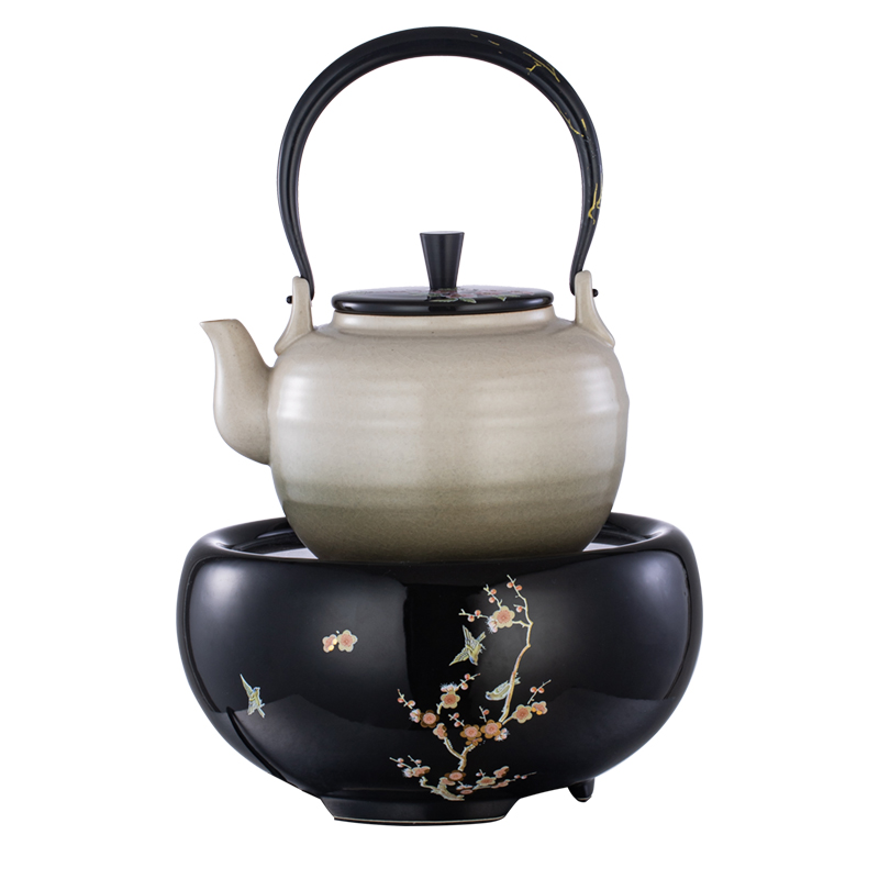 Electric TaoLu boiled tea, kungfu tea pot of boiled tea stove small tea accessories.mute household glass iron pot of tea