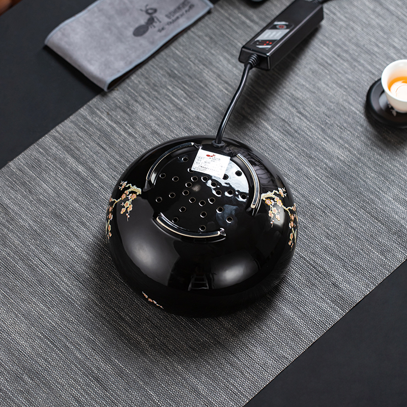 Electric TaoLu boiled tea, kungfu tea pot of boiled tea stove small tea accessories.mute household glass iron pot of tea