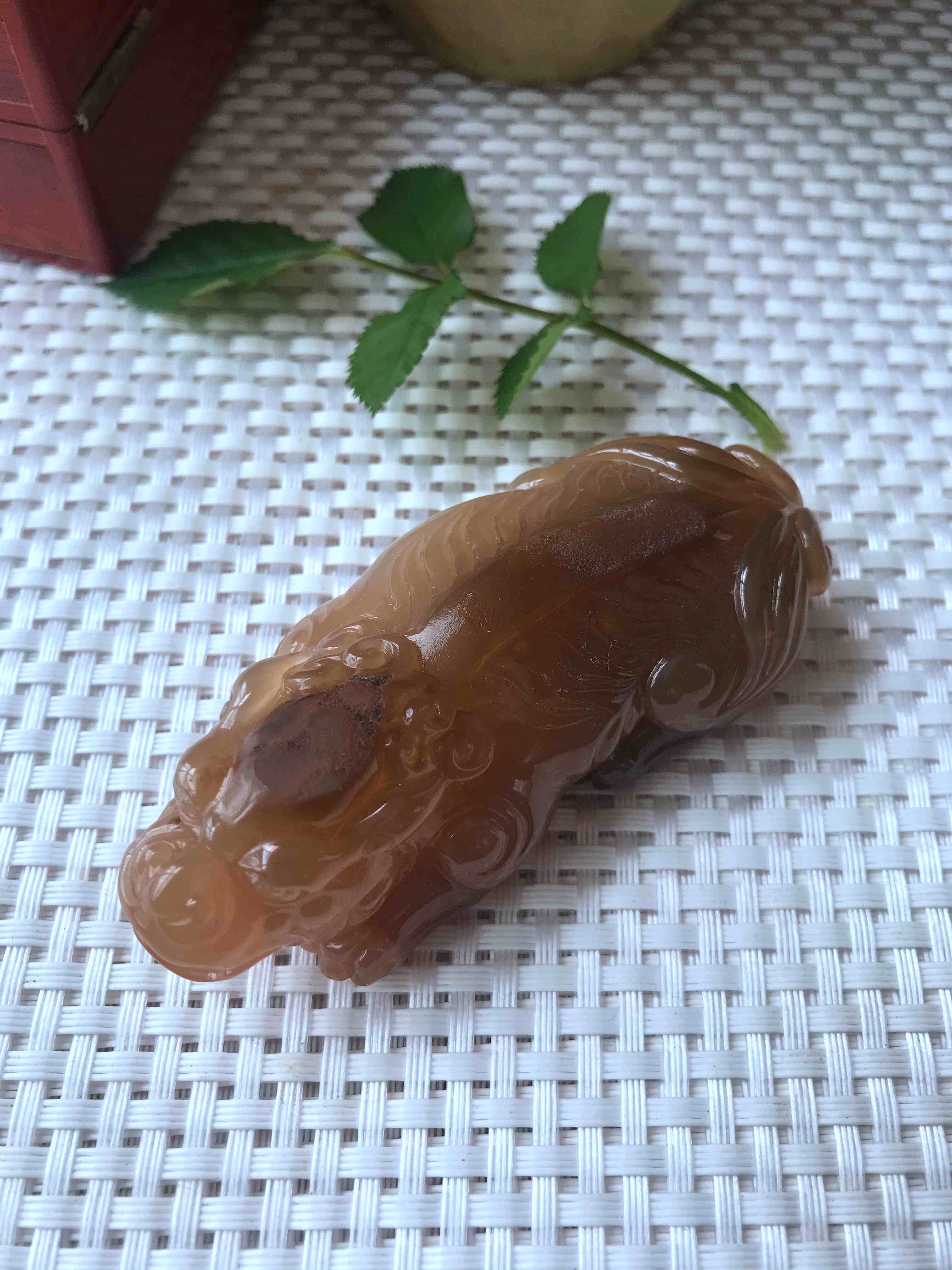 The Huanglong Yuu Opium Pig of Yunnan Province in Yunnan